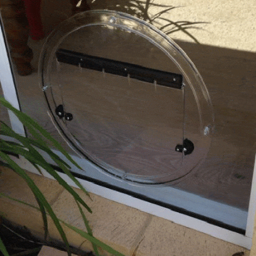 Glass pet door on patio