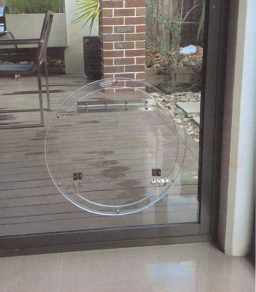 Large dog door in glass