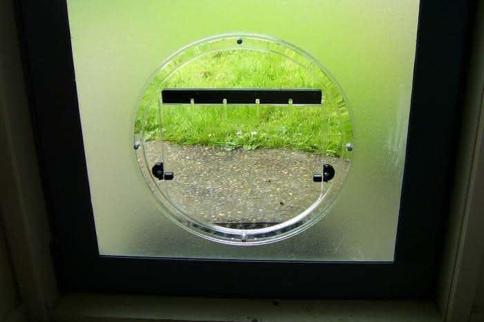 Pet door in frosted glass